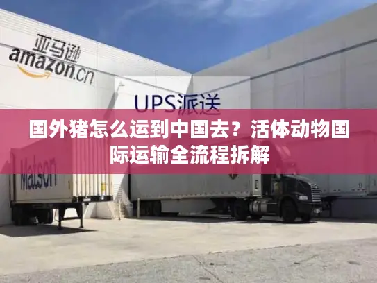 国外猪怎么运到中国去？活体动物国际运输全流程拆解