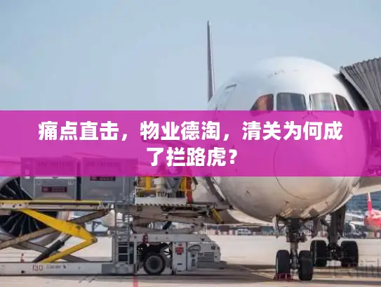 痛点直击，物业德淘，清关为何成了拦路虎？