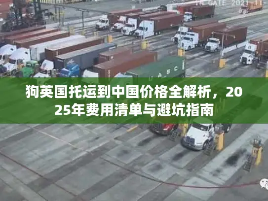 狗英国托运到中国价格全解析，2025年费用清单与避坑指南