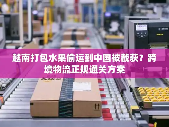 越南打包水果偷运到中国被截获？跨境物流正规通关方案