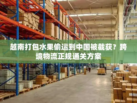越南打包水果偷运到中国被截获？跨境物流正规通关方案