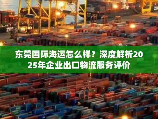 东莞国际海运怎么样？深度解析2025年企业出口物流服务评价