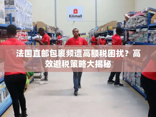 法国直邮包裹频遭高额税困扰？高效避税策略大揭秘