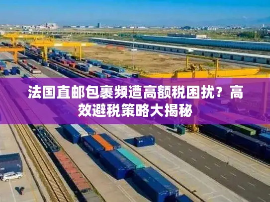 法国直邮包裹频遭高额税困扰？高效避税策略大揭秘