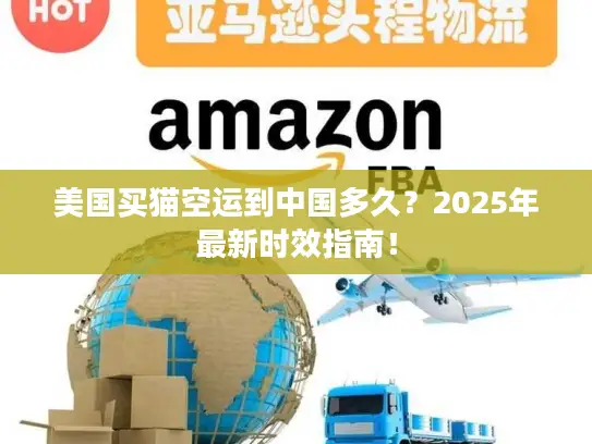美国买猫空运到中国多久？2025年最新时效指南！