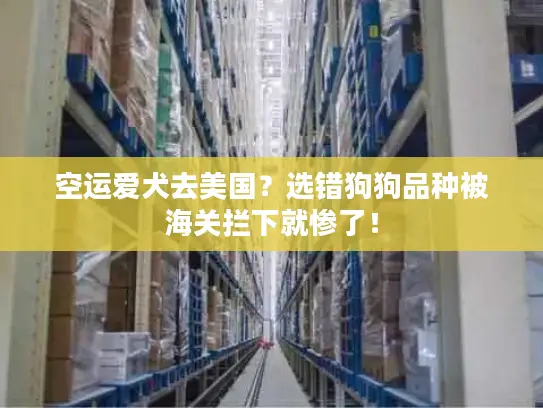 空运爱犬去美国？选错狗狗品种被海关拦下就惨了！
