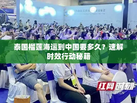 泰国榴莲海运到中国要多久？速解时效行动秘籍