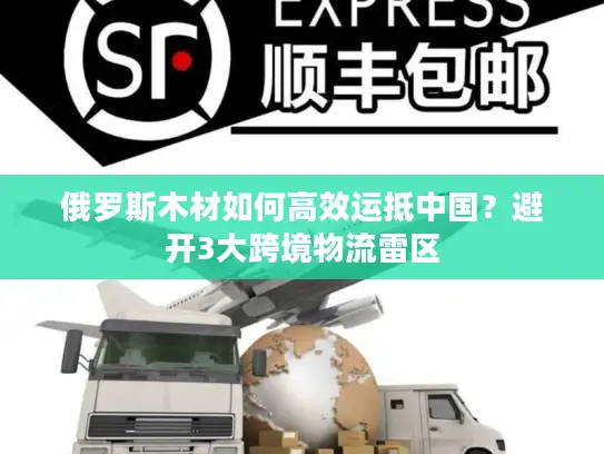 俄罗斯木材如何高效运抵中国？避开3大跨境物流雷区
