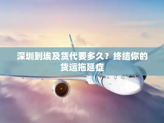 深圳到埃及货代要多久?终结你的货运拖延症 深圳到埃及货代要多久?终结你的货运拖延症