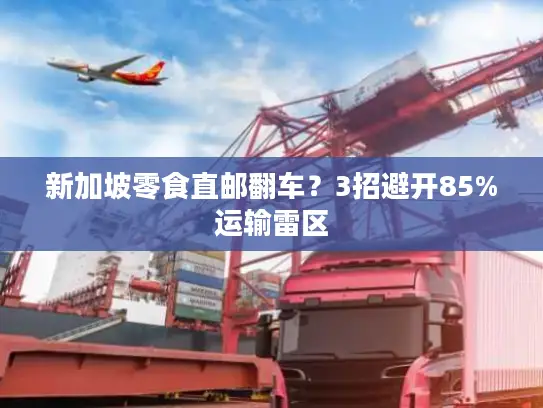 新加坡零食直邮翻车？3招避开85%运输雷区