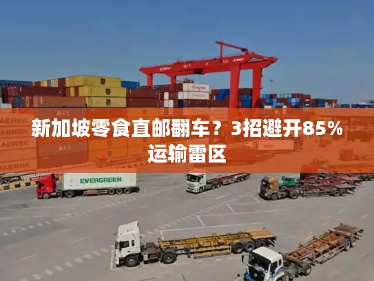 新加坡零食直邮翻车？3招避开85%运输雷区