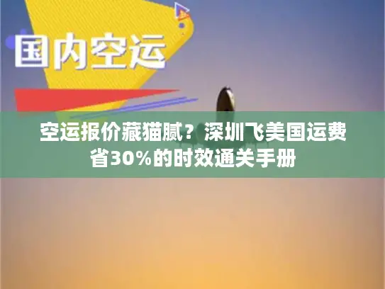 空运报价藏猫腻？深圳飞美国运费省30%的时效通关手册