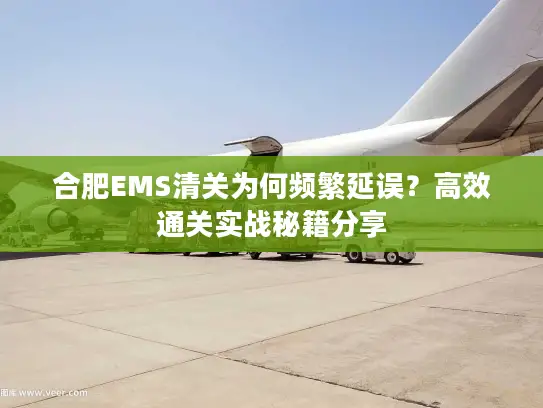 合肥EMS清关为何频繁延误？高效通关实战秘籍分享