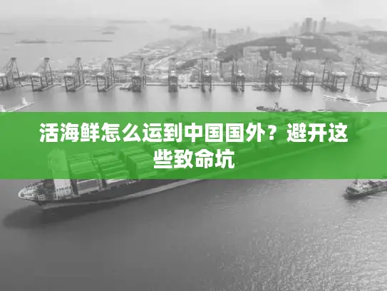 活海鲜怎么运到中国国外？避开这些致命坑