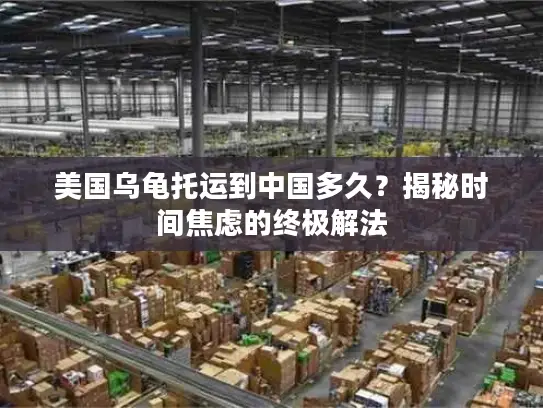 美国乌龟托运到中国多久？揭秘时间焦虑的终极解法