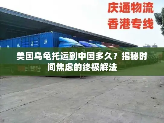 美国乌龟托运到中国多久？揭秘时间焦虑的终极解法