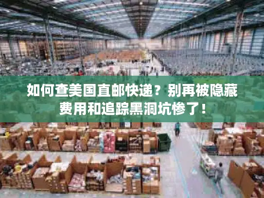 如何查美国直邮快递？别再被隐藏费用和追踪黑洞坑惨了！