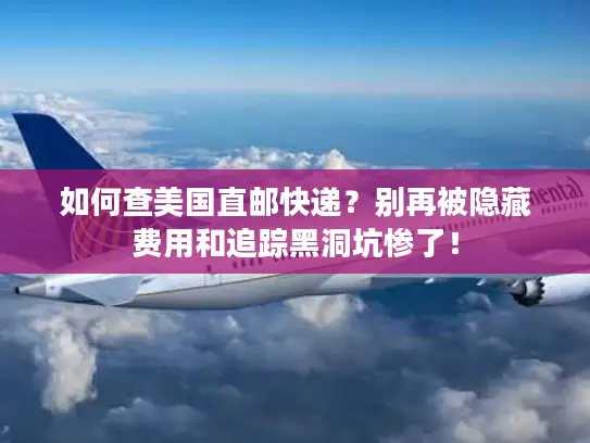 如何查美国直邮快递？别再被隐藏费用和追踪黑洞坑惨了！