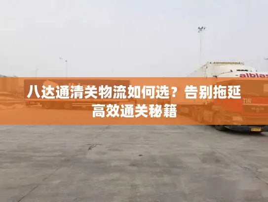 八达通清关物流如何选？告别拖延高效通关秘籍