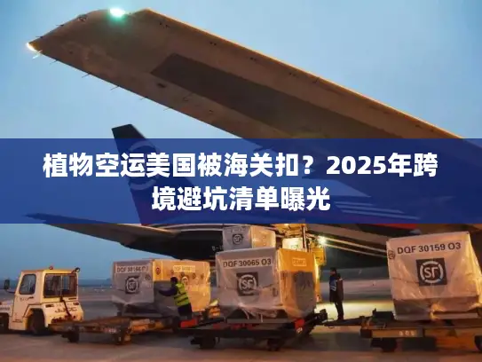 植物空运美国被海关扣？2025年跨境避坑清单曝光