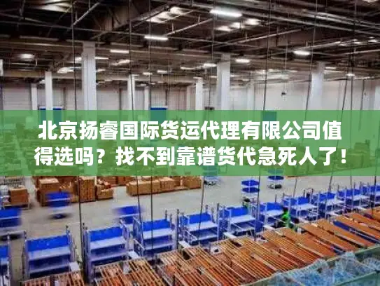 北京扬睿国际货运代理有限公司值得选吗？找不到靠谱货代急死人了！