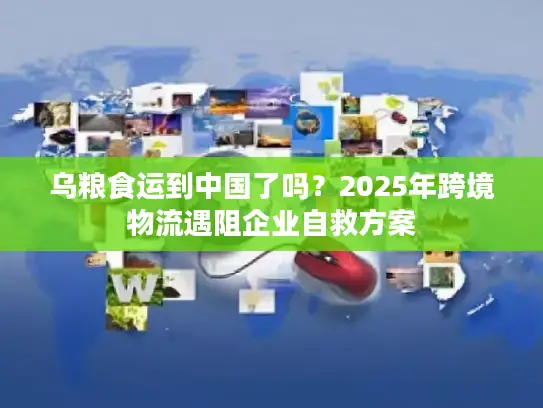 乌粮食运到中国了吗？2025年跨境物流遇阻企业自救方案