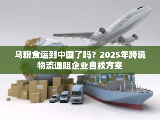 乌粮食运到中国了吗？2025年跨境物流遇阻企业自救方案