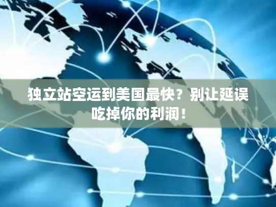 独立站空运到美国最快？别让延误吃掉你的利润！