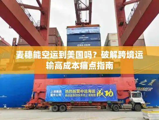 麦穗能空运到美国吗？破解跨境运输高成本痛点指南