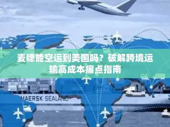 麦穗能空运到美国吗？破解跨境运输高成本痛点指南