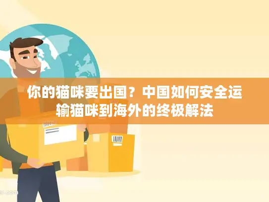 你的猫咪要出国？中国如何安全运输猫咪到海外的终极解法