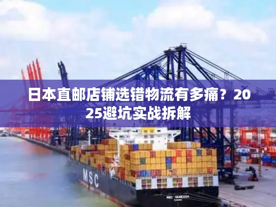 日本直邮店铺选错物流有多痛？2025避坑实战拆解