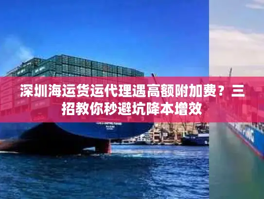 深圳海运货运代理遇高额附加费?三招教你秒避坑降本增效 深圳海运货运代理遇高额附加费?三招教你秒避坑降本增效