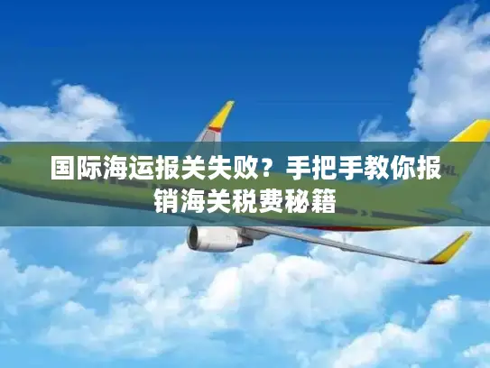 国际海运报关失败？手把手教你报销海关税费秘籍