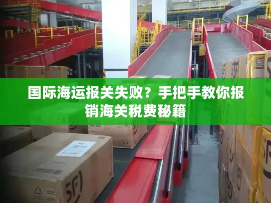 国际海运报关失败？手把手教你报销海关税费秘籍