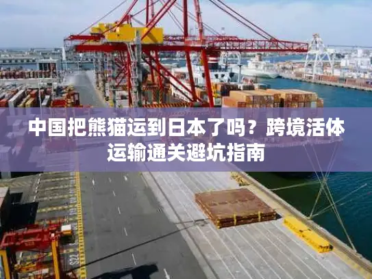 中国把熊猫运到日本了吗？跨境活体运输通关避坑指南