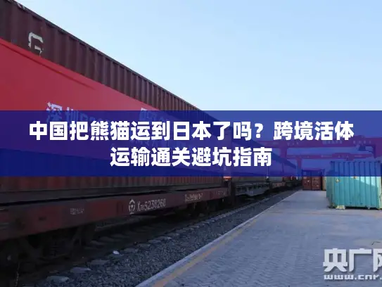 中国把熊猫运到日本了吗？跨境活体运输通关避坑指南
