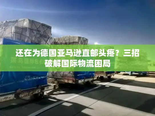 还在为德国亚马逊直邮头疼？三招破解国际物流困局