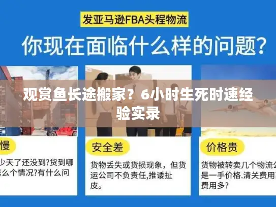 观赏鱼长途搬家？6小时生死时速经验实录