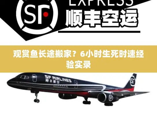 观赏鱼长途搬家？6小时生死时速经验实录