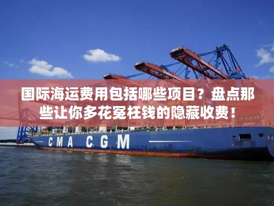 国际海运费用包括哪些项目？盘点那些让你多花冤枉钱的隐藏收费！