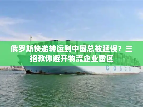 俄罗斯快递转运到中国总被延误？三招教你避开物流企业雷区