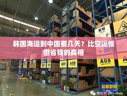 韩国海运到中国要几天？比空运慢但省钱的真相