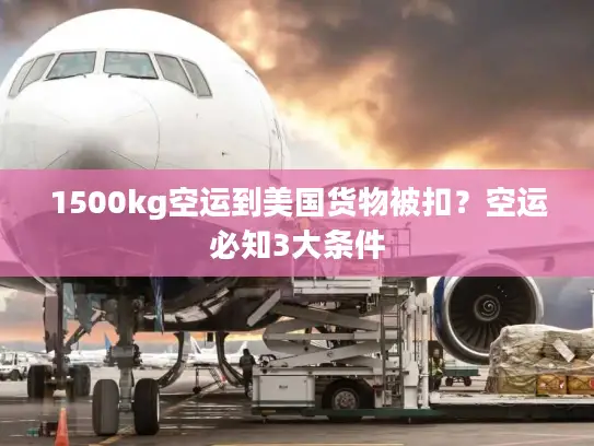 1500kg空运到美国货物被扣？空运必知3大条件