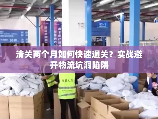 清关两个月如何快速通关？实战避开物流坑洞陷阱