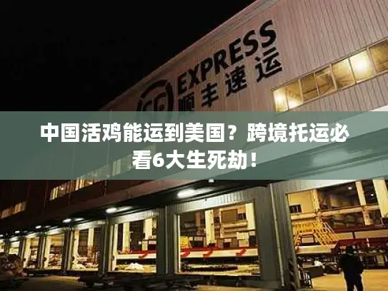 中国活鸡能运到美国？跨境托运必看6大生死劫！