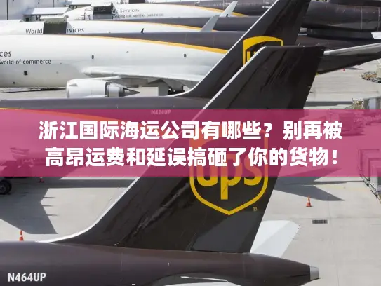 浙江国际海运公司有哪些？别再被高昂运费和延误搞砸了你的货物！