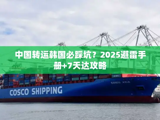 中国转运韩国必踩坑？2025避雷手册+7天达攻略