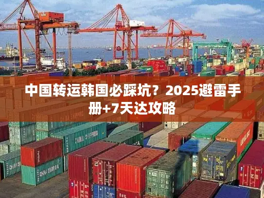 中国转运韩国必踩坑？2025避雷手册+7天达攻略