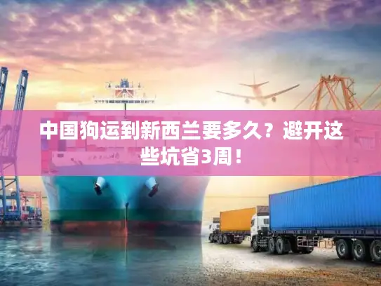 中国狗运到新西兰要多久？避开这些坑省3周！
